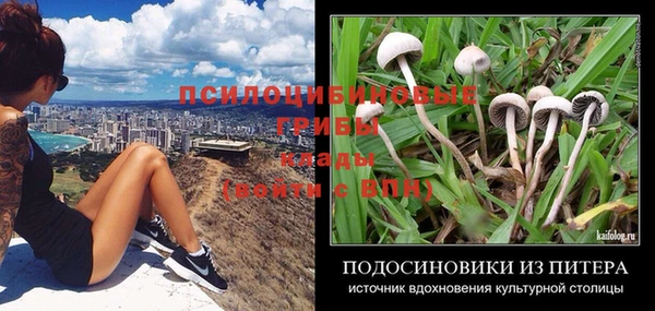 прущий лед Абаза