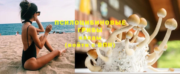 дурь Осташков