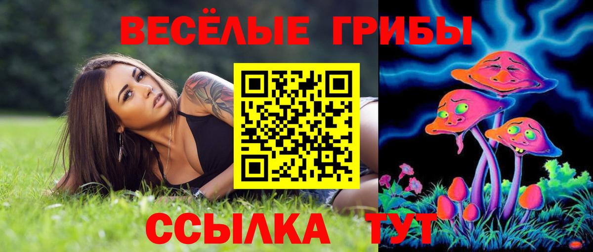 Галлюциногенные грибы Psilocybe  Вход с VPN  Тавда 