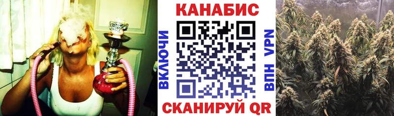 Канабис ГИДРОПОН  Тавда 